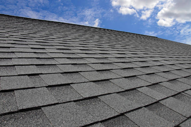 Best Roof Maintenance and Cleaning  in Mount Pleasant, NC